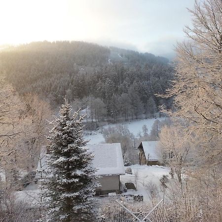 Haus Vor Den Eichen Fuer Familien Vila Willingen  Exterior foto