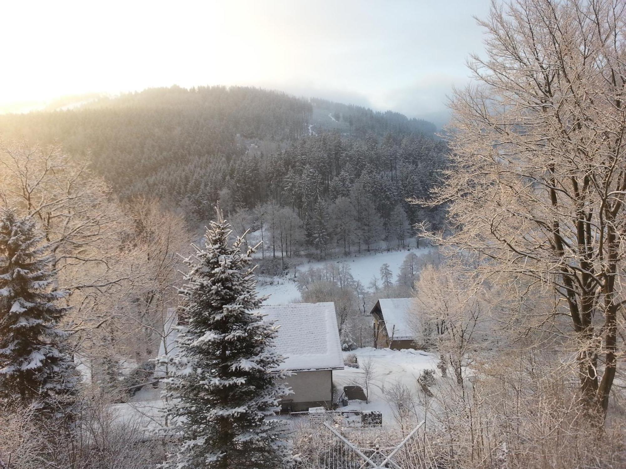 Haus Vor Den Eichen Fuer Familien Vila Willingen  Exterior foto